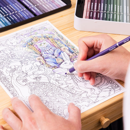 634 Pièces Harmonieuse Étuis Experts En Dessin Et Coloriage Avec Fermeture Éclair