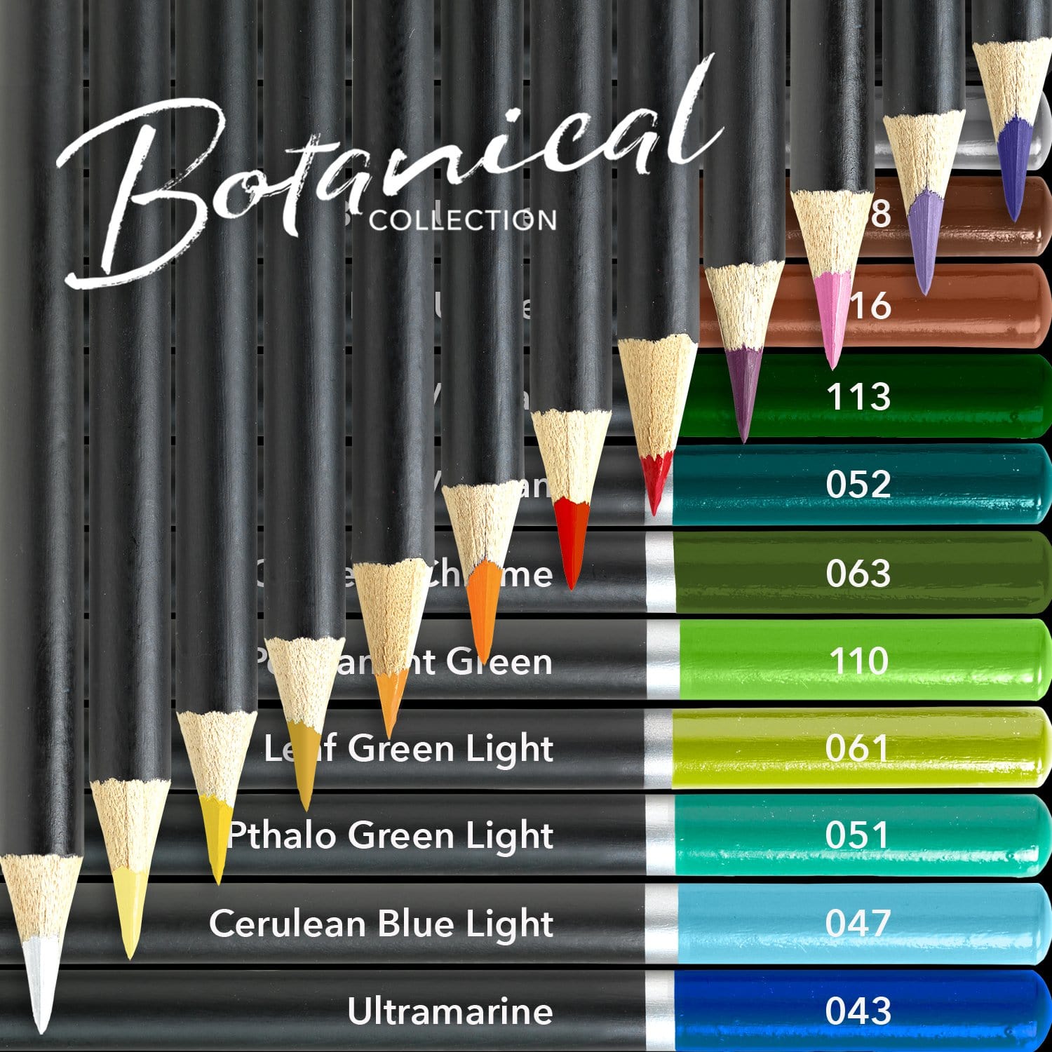 48 Pièces Crayons De Couleur Portrait Et Botanique Palette Ensemble